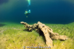 Silent World 
Freshwater spring 
Canon 5DS R, 8-15mm Fi... by Michael Baukloh 